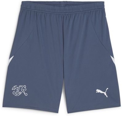 Puma Sport Shorts SFV Shorts Replica 773975