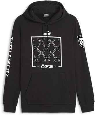 Puma Hoodie ÖFB Ftblicons Hoody 774195