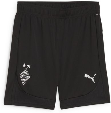 Puma Sport Shorts Bmg Training W/O Pockets 777879