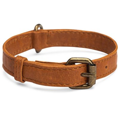 muud Cate Ledergurt 30x1,50 cm in Whisky Halsband für kleine Hunde