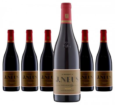 6 x VDP. Weingut J. Neus Horn Spätburgunder GG trocken – 2021