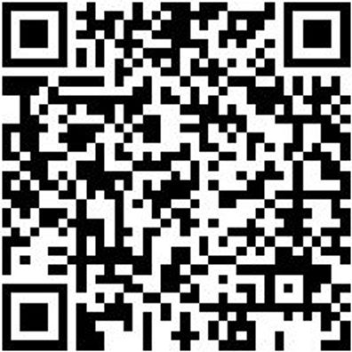 Arbeitshose Cargohose Urban Light Schwarz 50