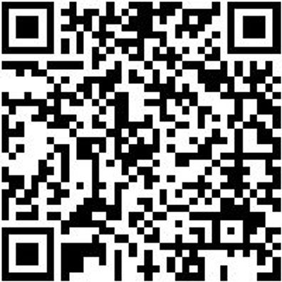 Arbeitshose Cargohose Urban Light Schwarz 56