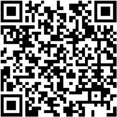 Arbeitshose Cargohose Urban Pro Schwarz 58