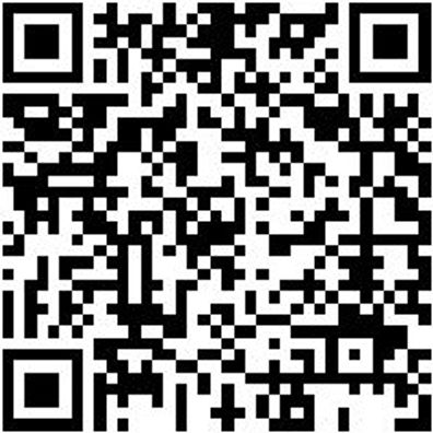 Arbeitshose Cargohose Urban Light Schwarz 58