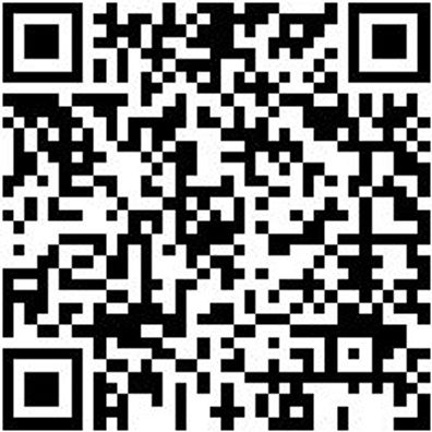 Arbeitshose Cargohose Urban Light Schwarz 54