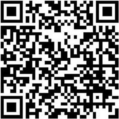 Arbeitslatzhose Latzhose Nature Grau 52