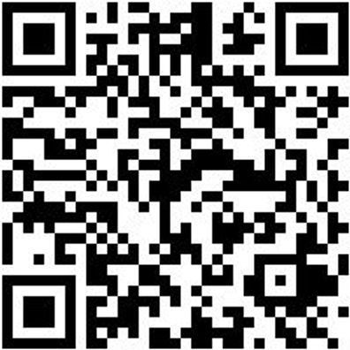 Arbeitspoloshirt Poloshirt Weiss 3Xl