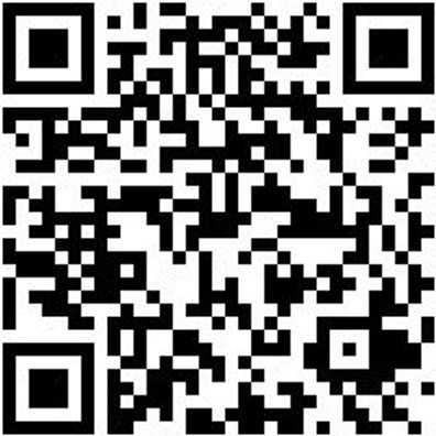 Arbeitspoloshirt Poloshirt Orange Xl