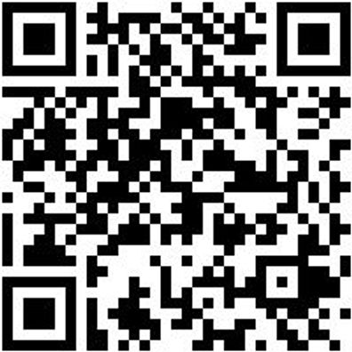 Arbeitspoloshirt Poloshirt Orange 4Xl