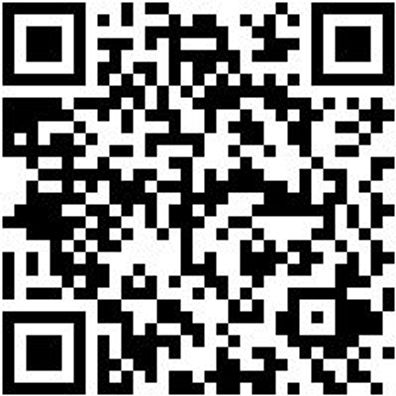 Arbeitspoloshirt Poloshirt Royal Xxl