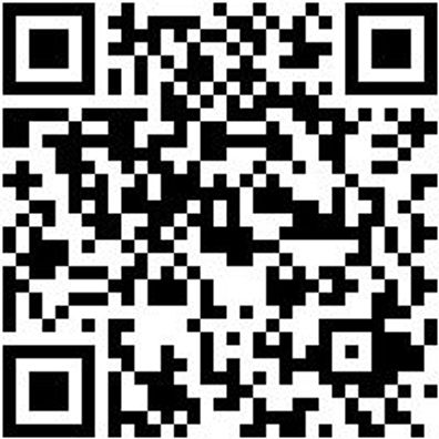 Arbeitspoloshirt Poloshirt Graphit Xs