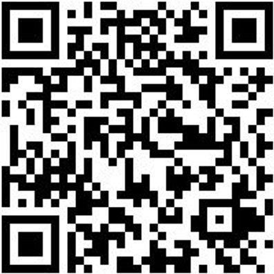 Arbeitspoloshirt Poloshirt Graphit L