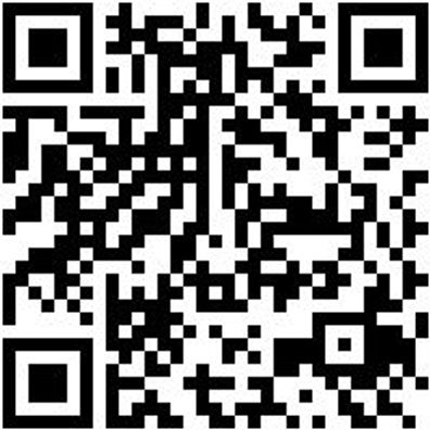 Arbeitspoloshirt Polo Job+ Royal L