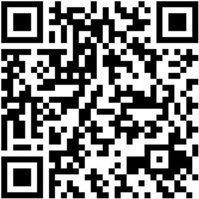 Arbeitspoloshirt Polo Job+ Smoke S