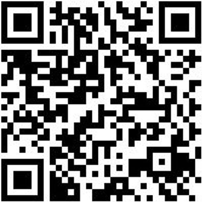 Arbeitspoloshirt Polo Job+ Smoke Xl