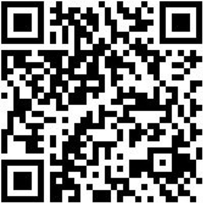 Arbeitspoloshirt Polo Job+ Smoke Xs