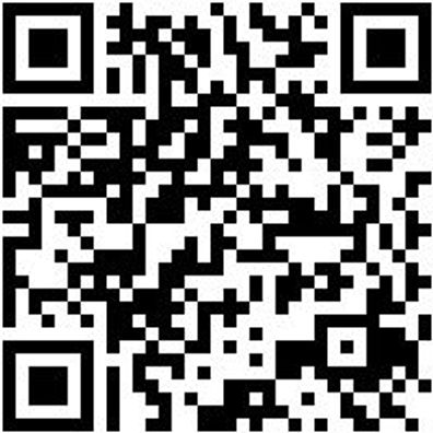 Arbeitspoloshirt Polo Job+ Orange L