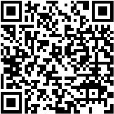 Arbeitsoverall Overall Stretch X Grau Xl