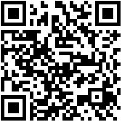 Arbeitspoloshirt Polo Job+ Anthrazit L