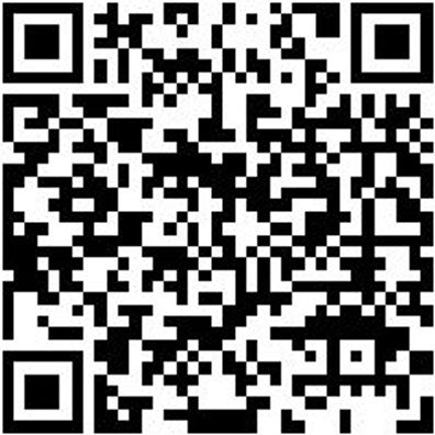 Arbeitsoverall Overall Stretch X Anthrazit Xs