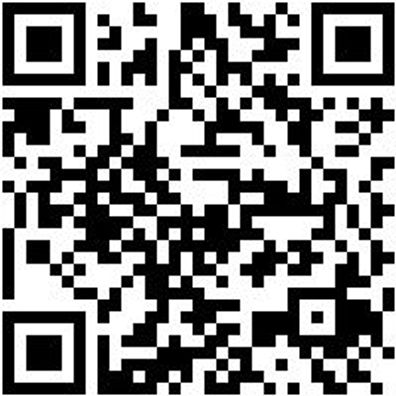 Arbeitspoloshirt Polo Job+ Anthrazit L