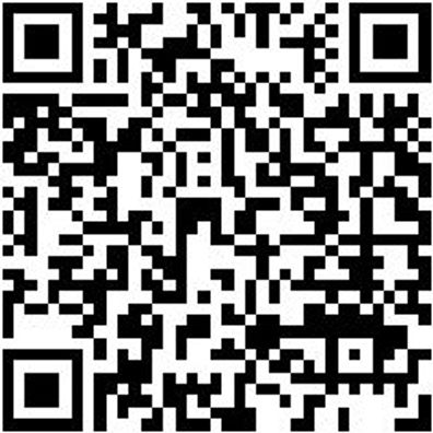 Arbeitspullover Half-Zip Fleece Half Zip Stretchfit Schwarz S