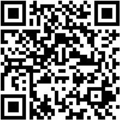 Arbeitspoloshirt Poloshirt Orange Xxl