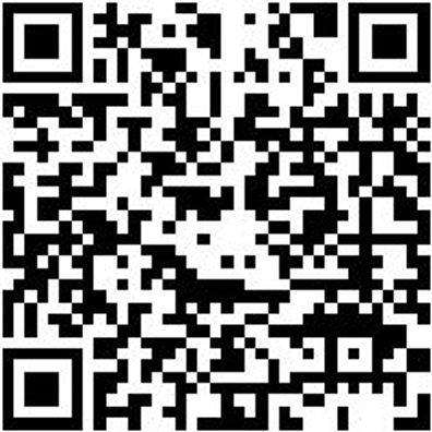 Arbeitsoverall Overall Stretch X Grau Xxl