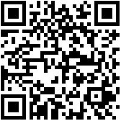 Arbeitspoloshirt Poloshirt Royal Xs