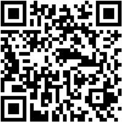 Arbeitspoloshirt Poloshirt Royal L