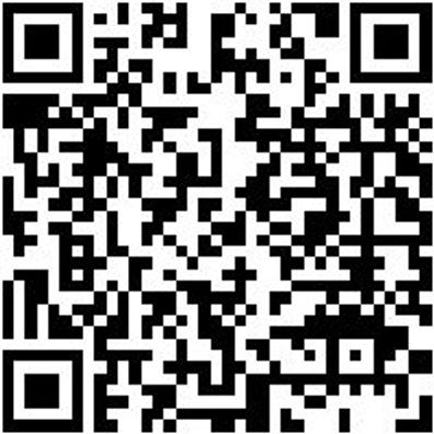 Arbeitsoverall Overall Stretch X Schwarz Xl