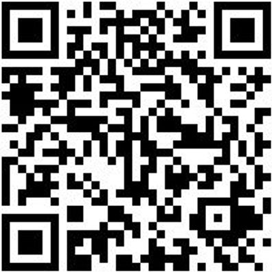 Arbeitspoloshirt Poloshirt Graphit S