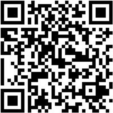 Arbeitspoloshirt Poloshirt Graphit Xl