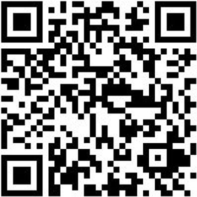 Arbeitspoloshirt Poloshirt Schwarz L