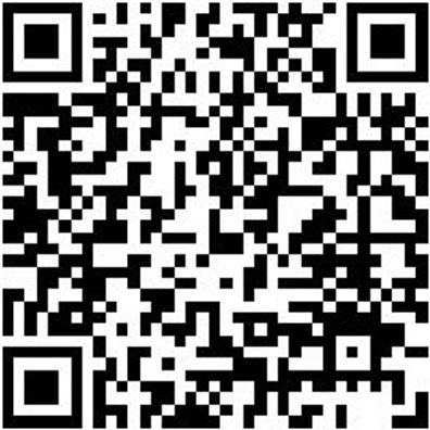 Arbeitspullover Half-Zip Fleece Halfzip Job+ Royal Blau Xl