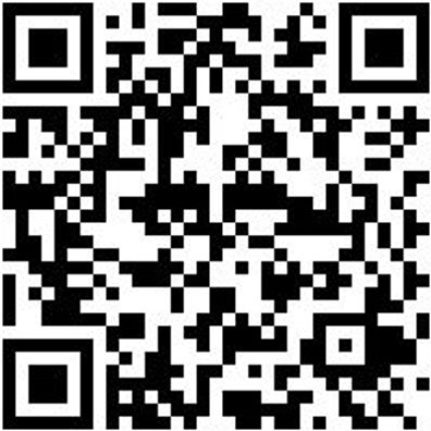 Arbeitspoloshirt Poloshirt Schwarz 3Xl