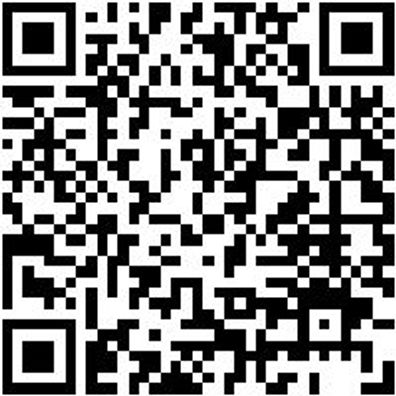 Arbeitspullover Half-Zip Fleece Halfzip Job+ Royal Blau Xs