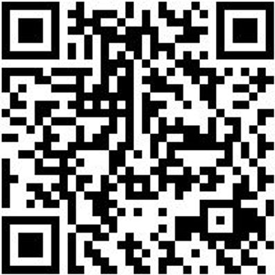 Arbeitspoloshirt Polo Job+ Royal S