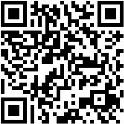 Arbeitspoloshirt Polo Job+ Royal Xl