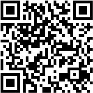 Arbeitspoloshirt Polo Job+ Royal Xs