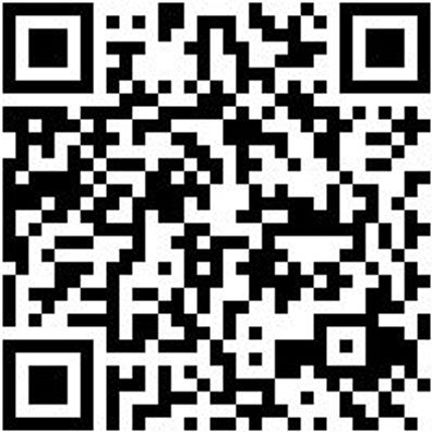 Arbeitspoloshirt Polo Job+ Smoke Xxl