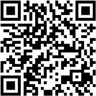 Arbeitspoloshirt Polo Job+ Orange S