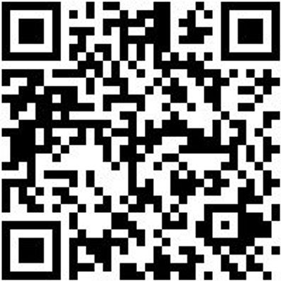 Arbeitspoloshirt Poloshirt Weiss Xxl