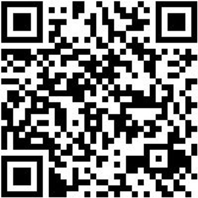 Arbeitspoloshirt Polo Job+ Orange Xl