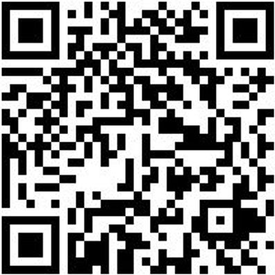 Arbeitspoloshirt Poloshirt Orange L