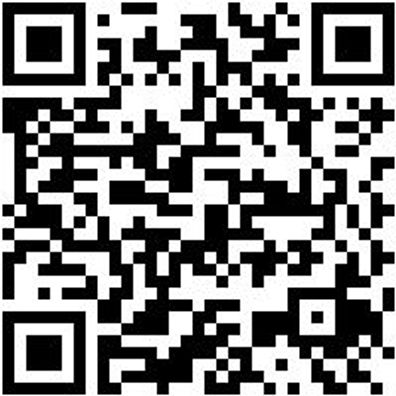 Arbeitspoloshirt Polo Job+ Anthrazit Xl