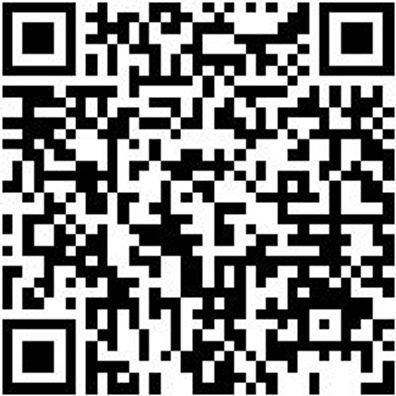 Arbeitspullover Iveco Sweat-Shirt Swz Gr. Xl