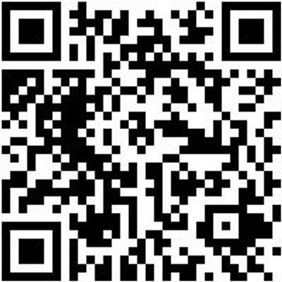 Arbeitspoloshirt Poloshirt Royal S