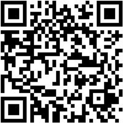 Arbeitspoloshirt Poloshirt Royal Xl